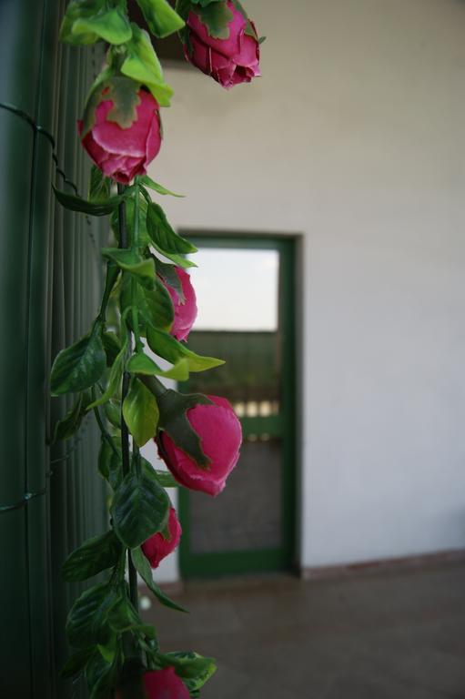 Villa Agriturismo La Valbona San Martino Siccomario Exterior foto