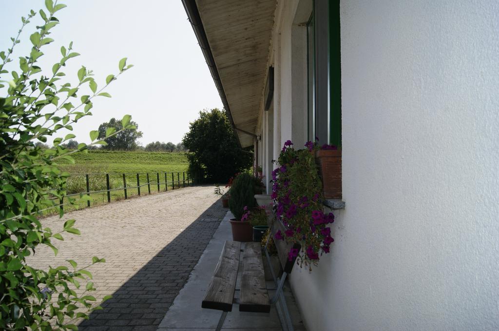 Villa Agriturismo La Valbona San Martino Siccomario Exterior foto