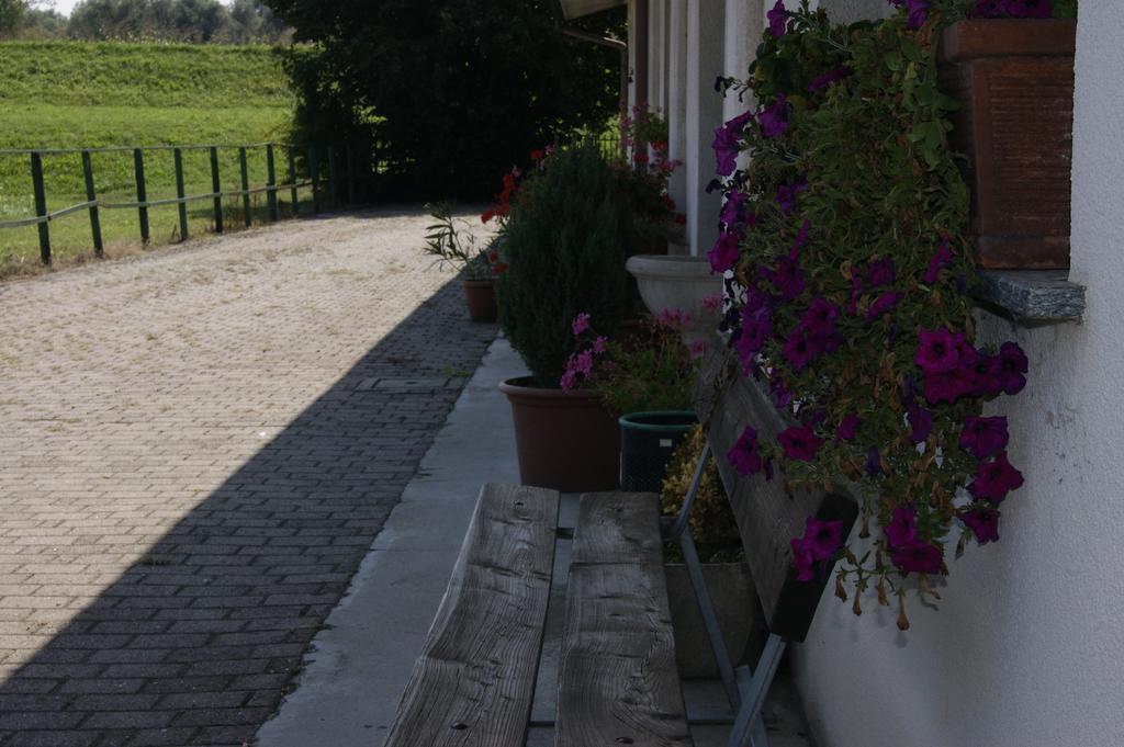 Villa Agriturismo La Valbona San Martino Siccomario Exterior foto